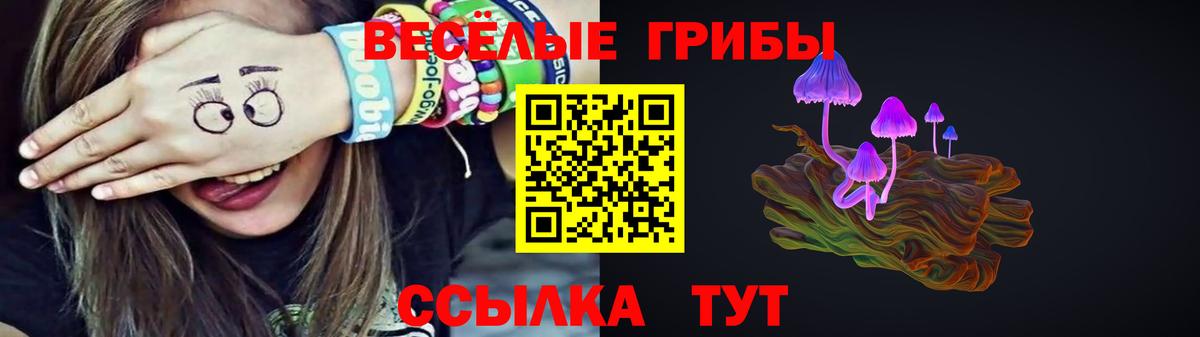 Псилоцибиновые грибы GOLDEN TEACHER Аксай
